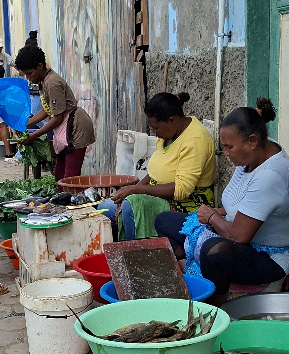 2026-01-16 Mindelo 20260117_121015_ji.jpg